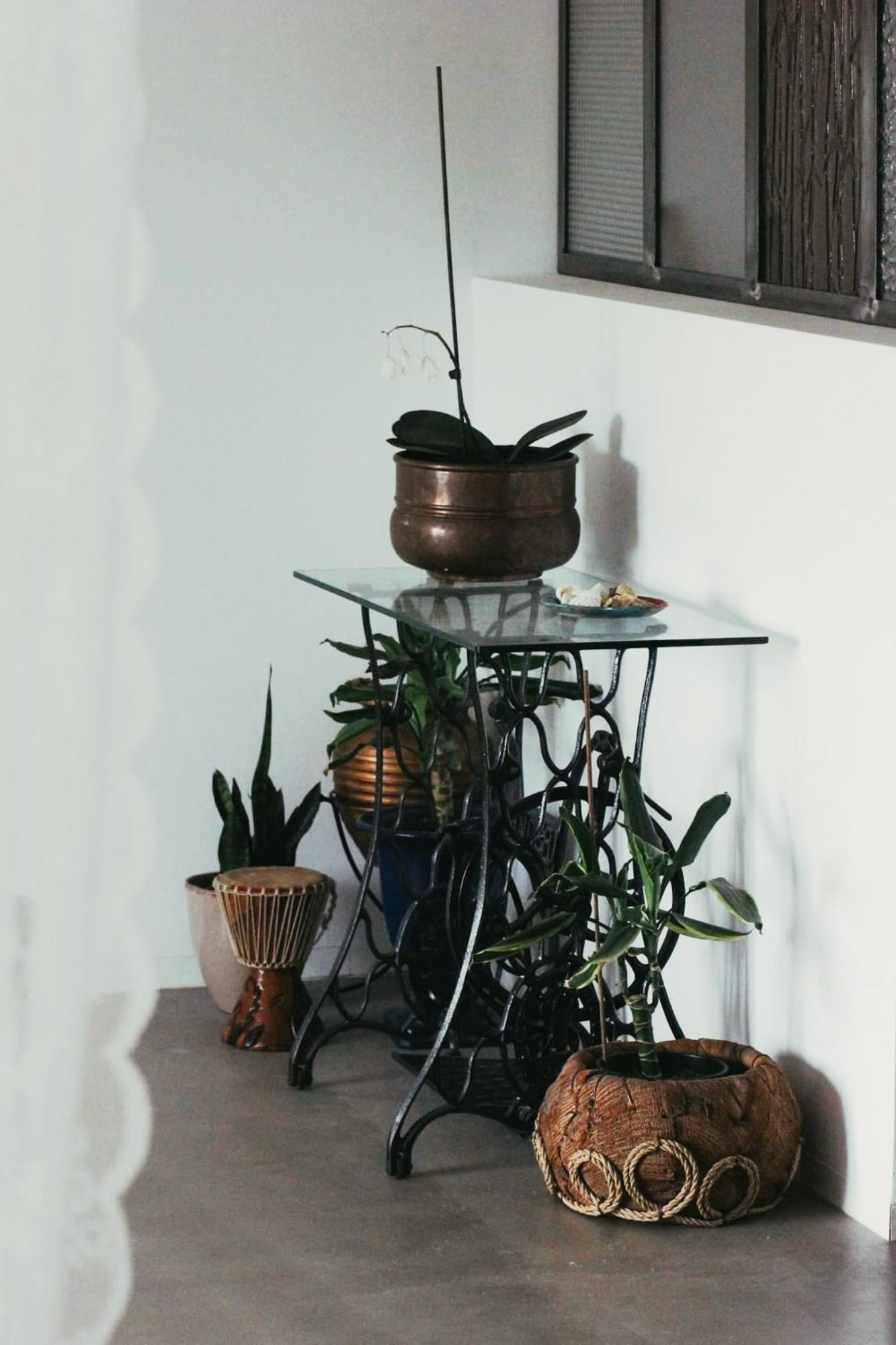 アマランテCasa De Luzesアパートメント 部屋 写真